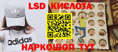 шишки Моздок