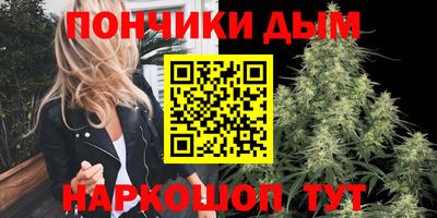 шишки Моздок
