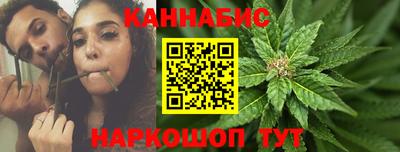 индика Можайск