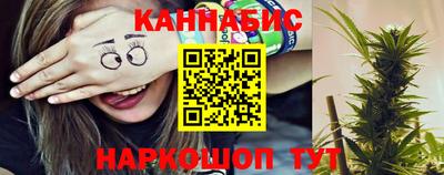 индика Можайск
